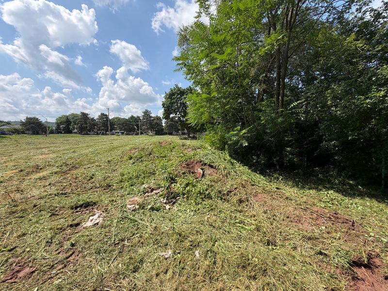 Brush Cutting