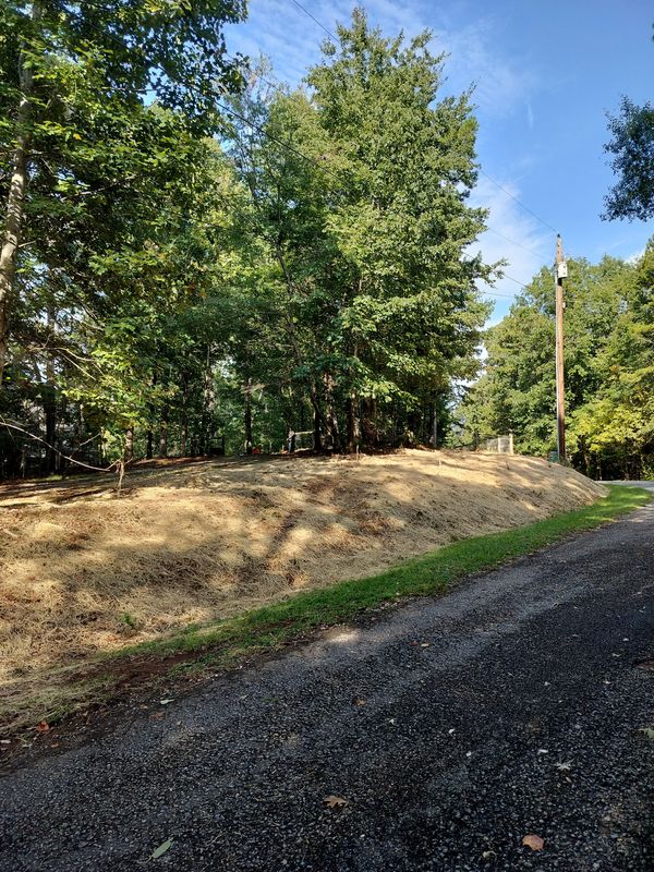 Land Clearing and Site Preparation