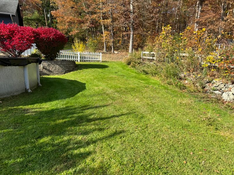 Lawn Care