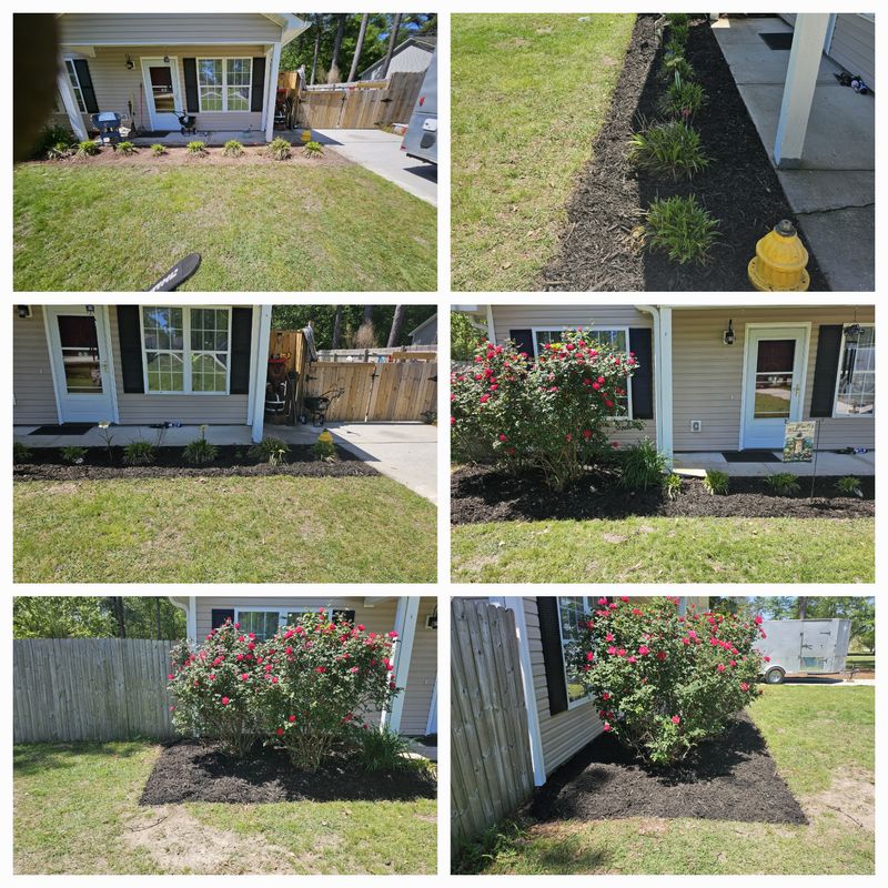Mulch Installation