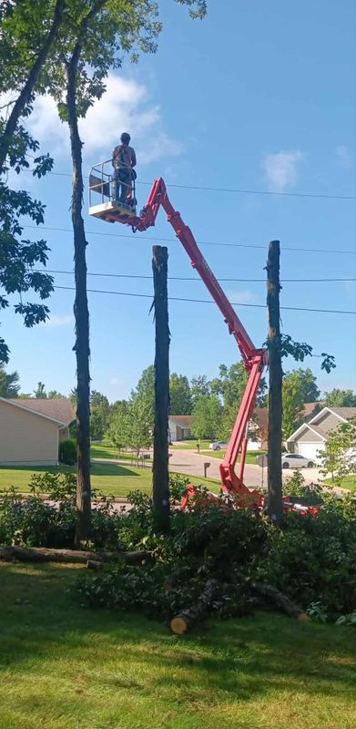 Tree Trimming