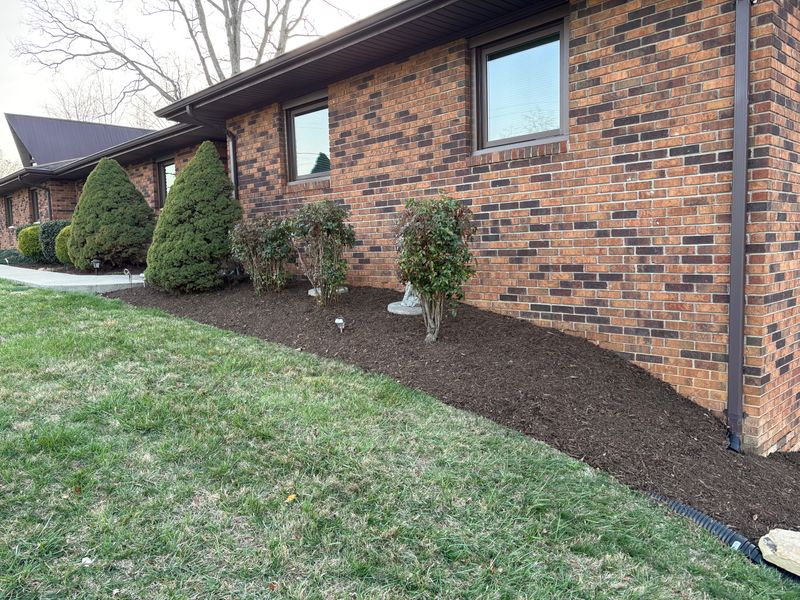 Lawn Maintenance