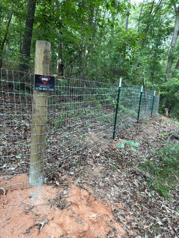 Fence Repair