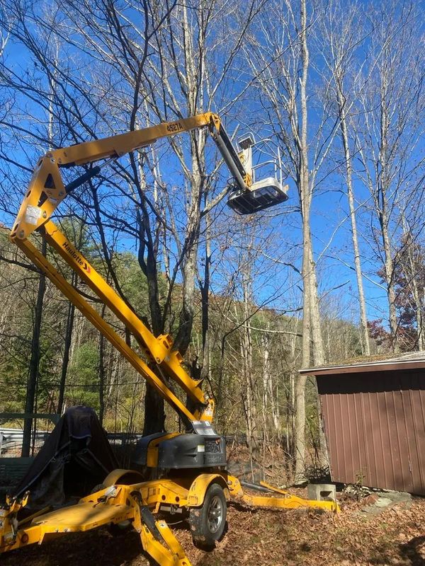 Tree Trimming