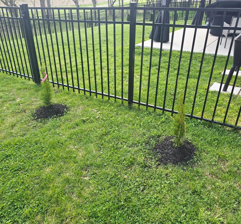 Lawn Maintenance
