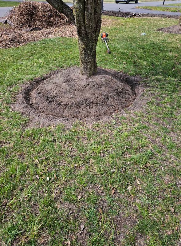 Tree & Shrub Care