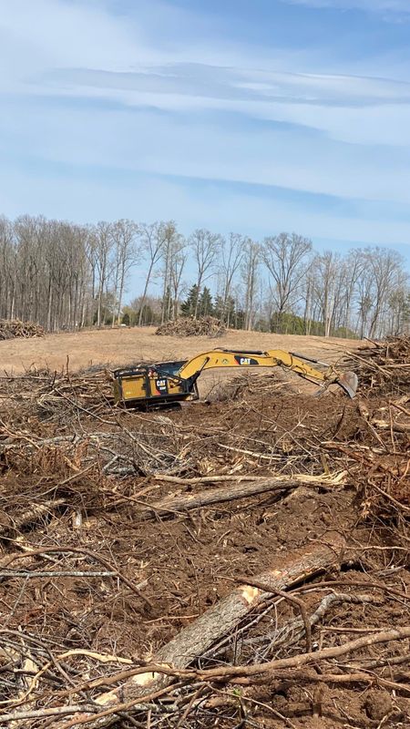 Land Clearing
