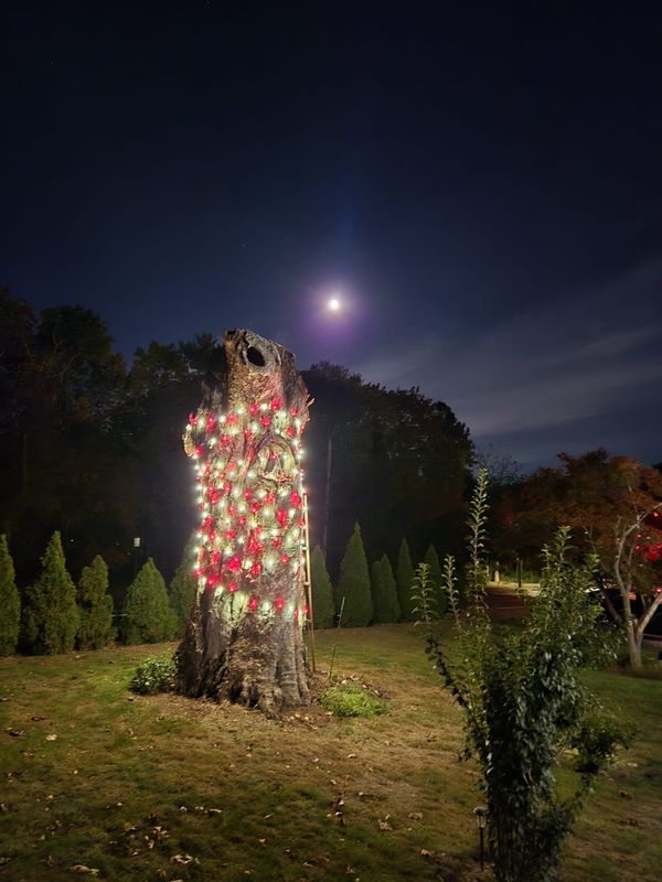 Landscape Lighting