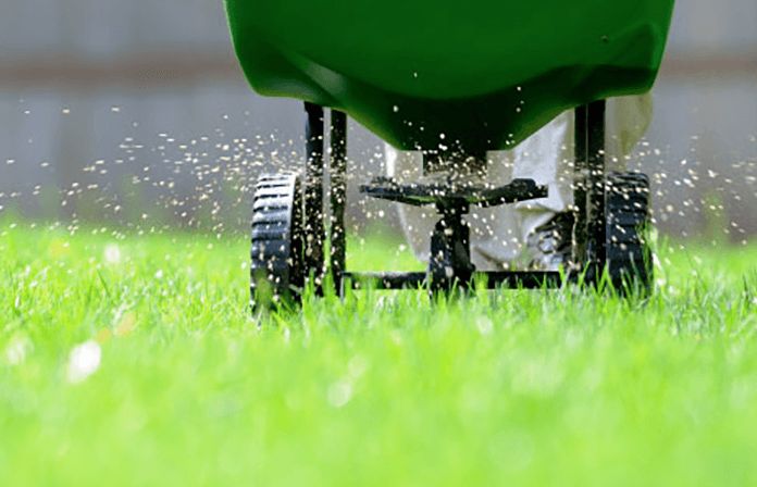 Fertilization
