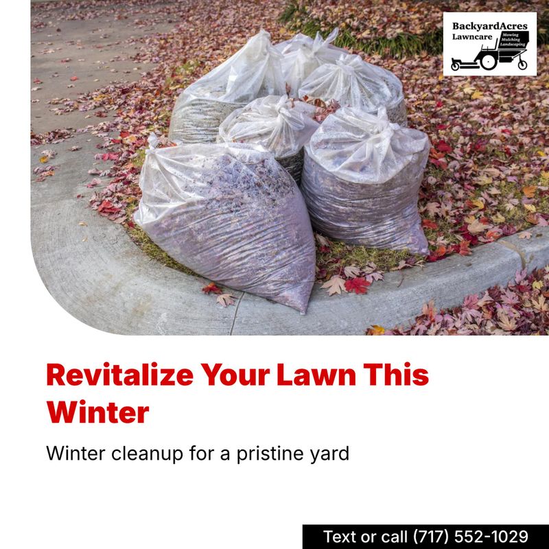 Fall Clean Up