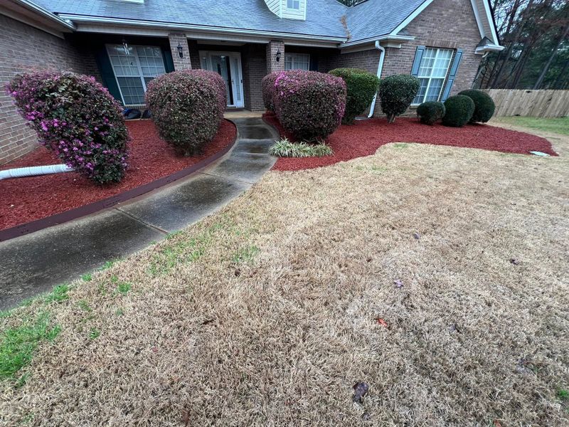 Mulch Installation