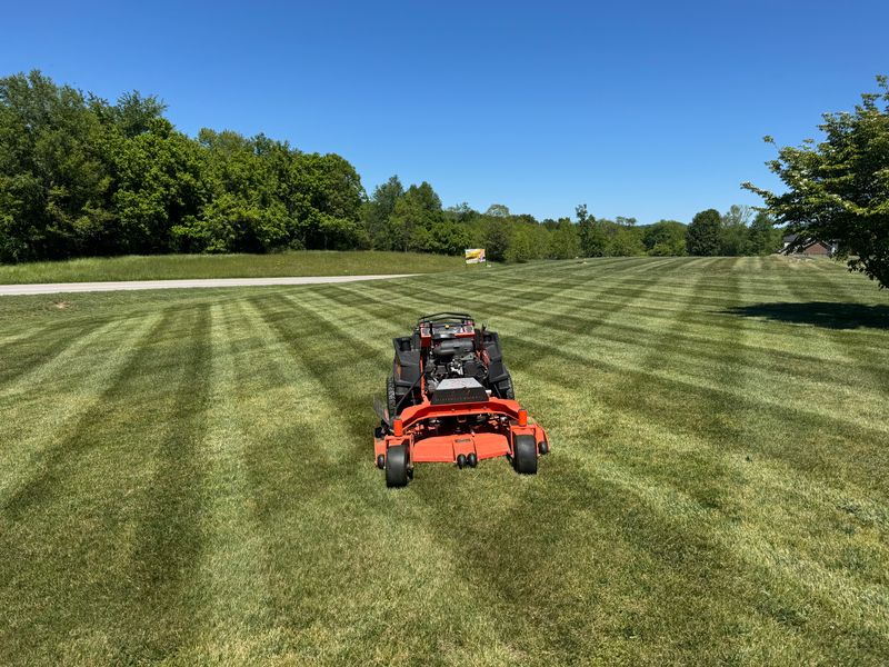 Lawns