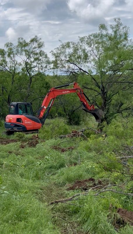Land Clearing