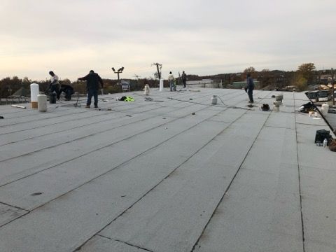TPO Roofing Systems