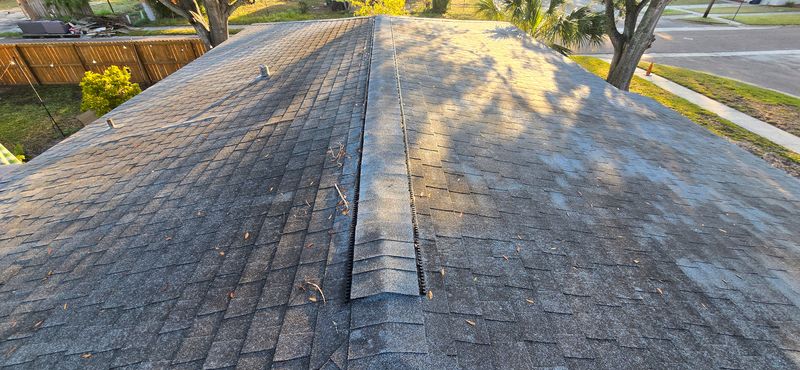 Revitalizing South Tampa: Shingle Roof Transformation with Blue Stream's Premier Soft Washing Techniques