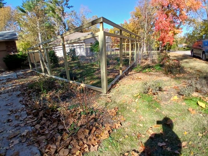 Carbondale fence