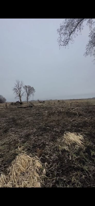 Land Clearing