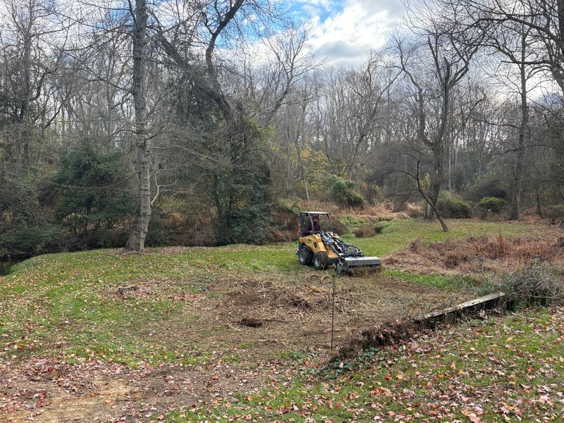 Stump Removal