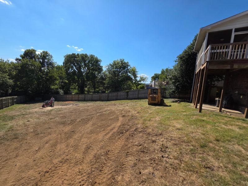 Stump Removal