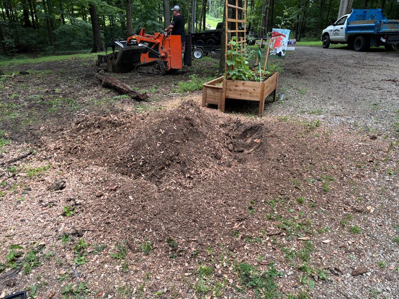 Stump Removal