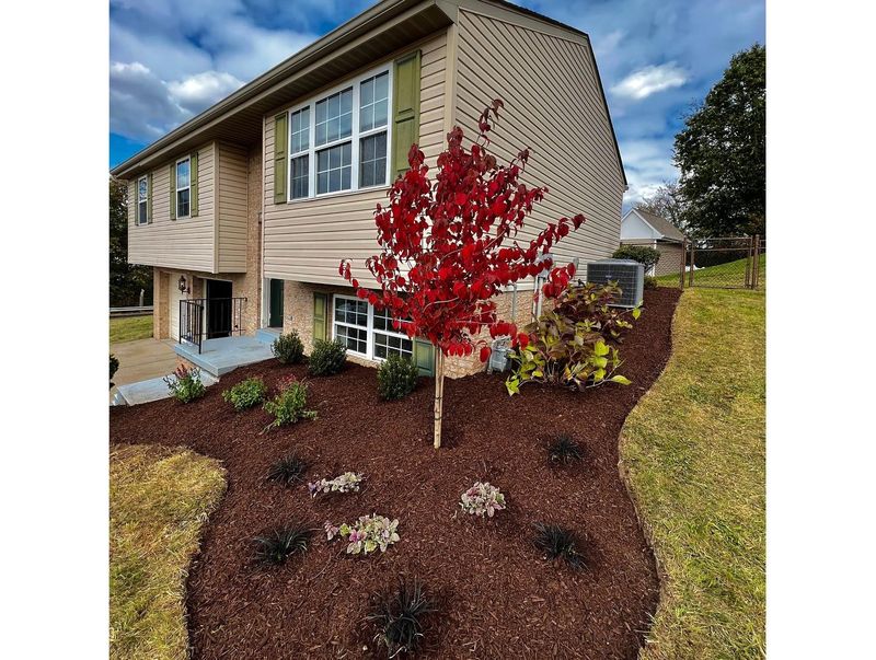 Landscape Design & Installation gallery