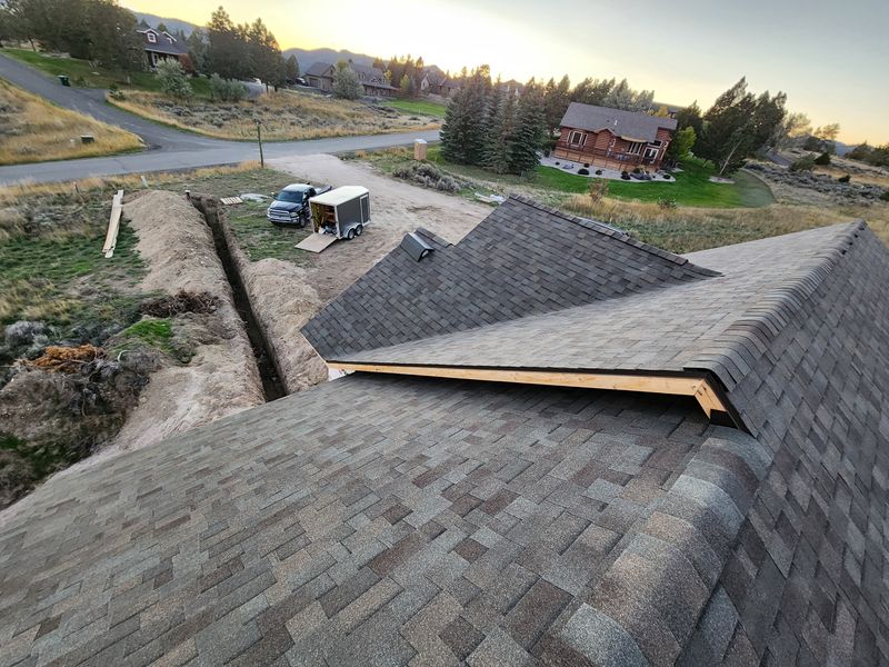 Shingle and Metal Roofs