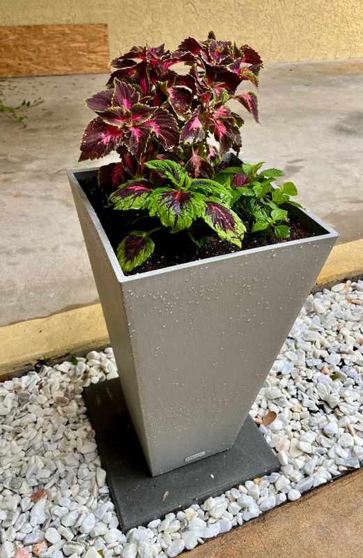 Container Gardens/Flower Arrangements 