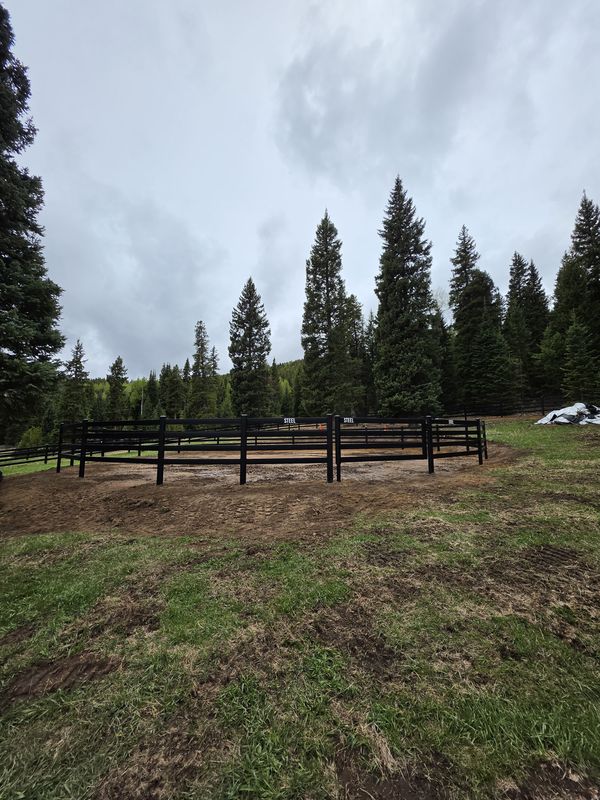 Buckley Fence
