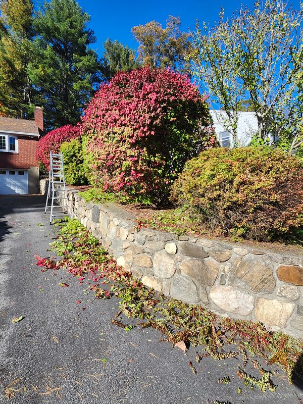 Fall Cleanups