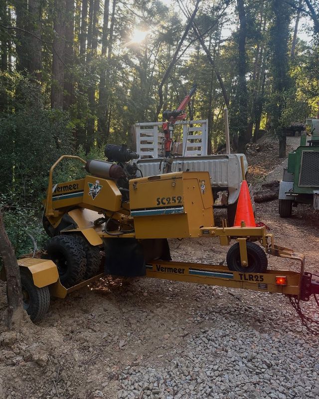 Tree Services