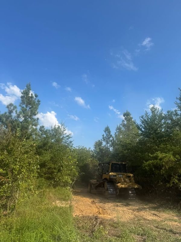 Lot Clearing