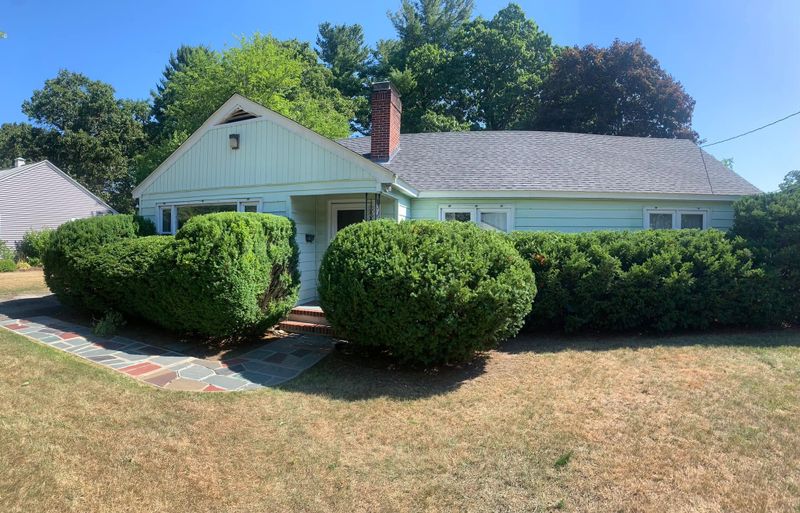 Shrub Trimming
