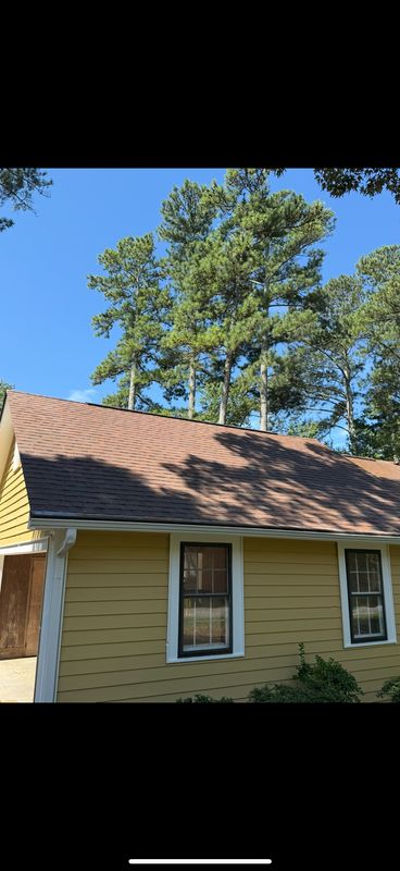 Roof Washing