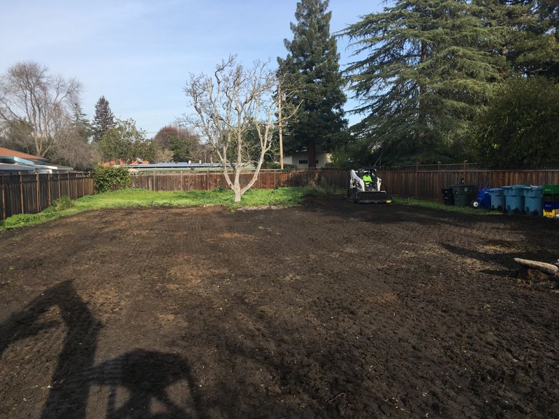 Site Preparation