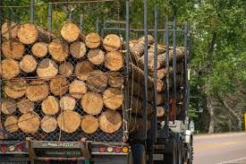 Firewood Cutting and Delivery