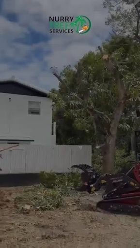 Tree Removal