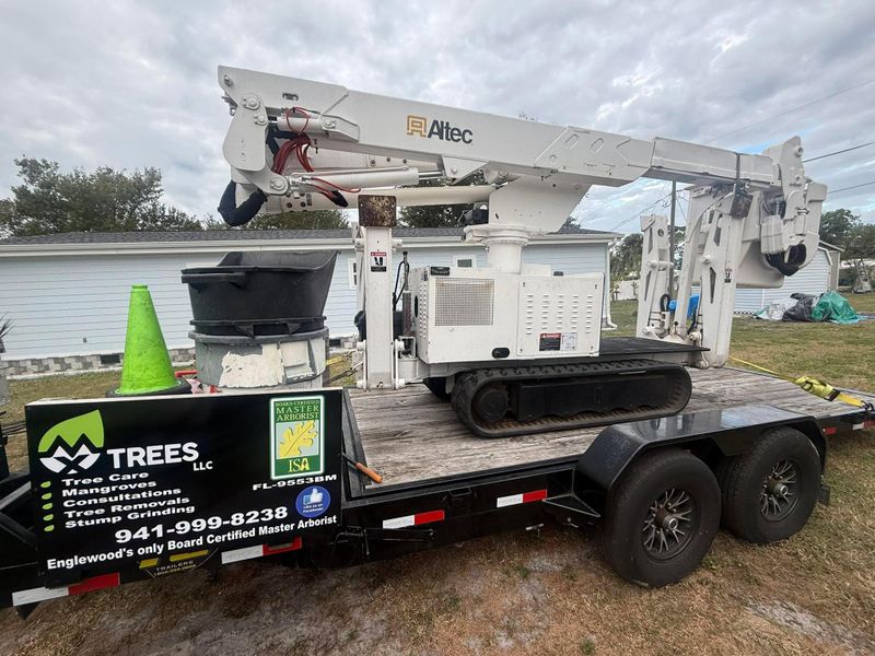 Tree Trimming