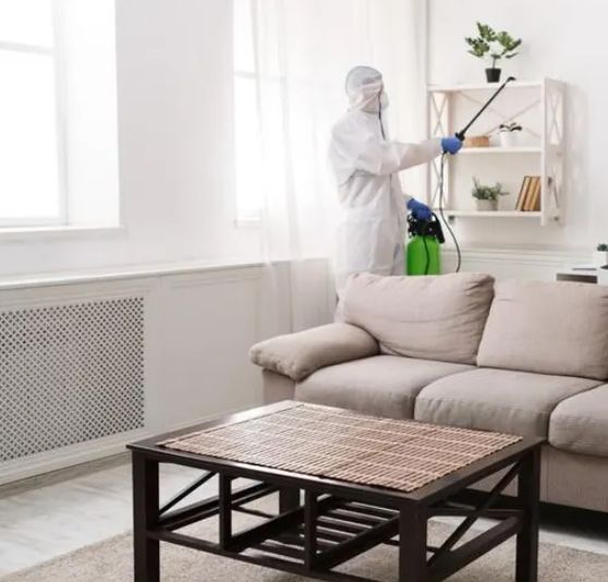 Residential Pest Control