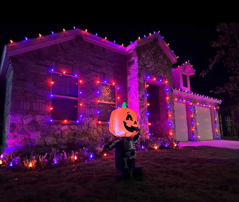 Landscape Lighting