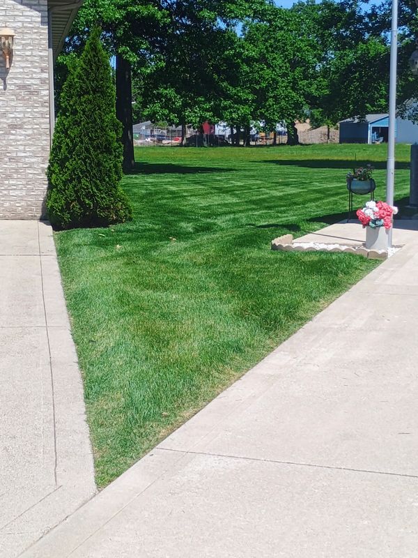 Lawn Care and Maintenance