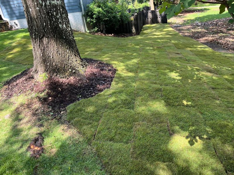 Landscape Design