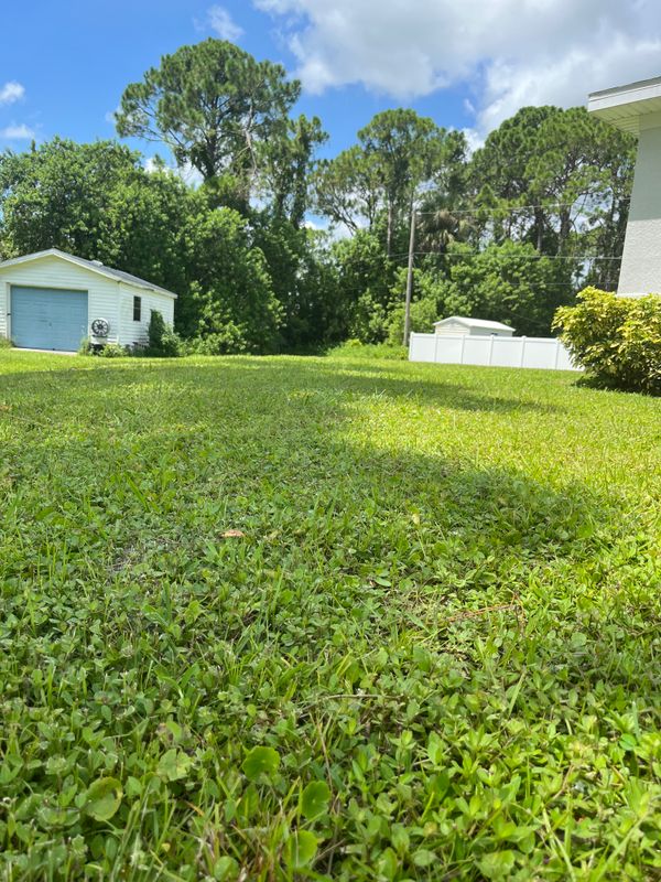 Lawn Maintenance