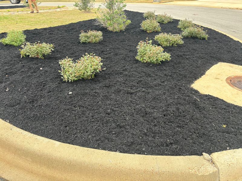 Landscaping