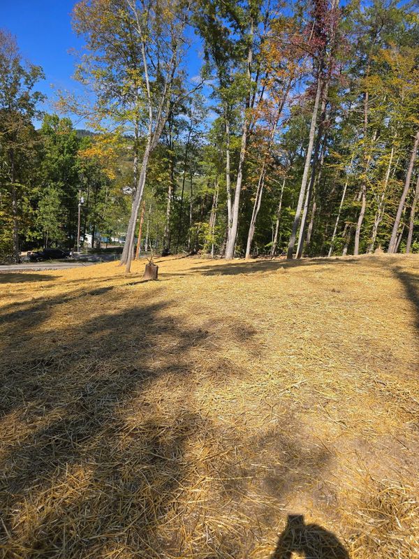 Land Clearing