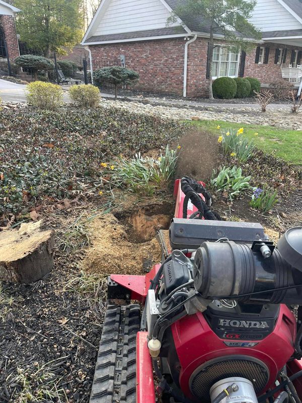 Stump Removal
