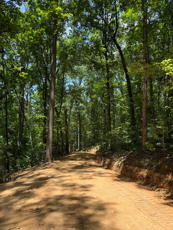 Road Construction