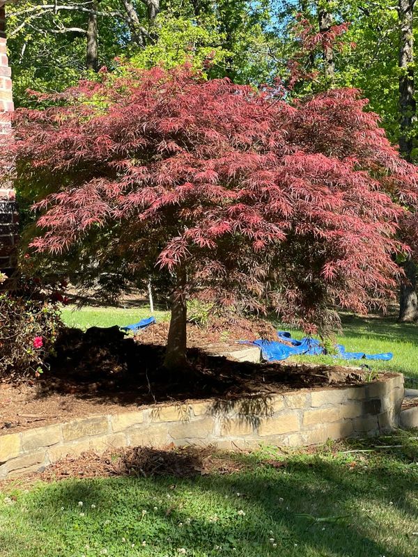 Retaining Wall Construction