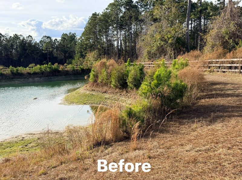 Land Clearing And Clean Up