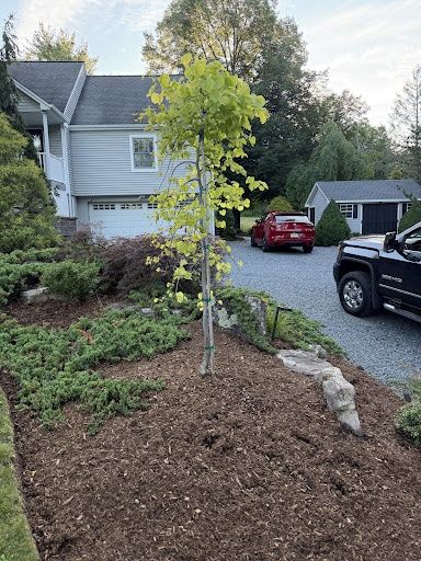 Tree & Perennial Planting