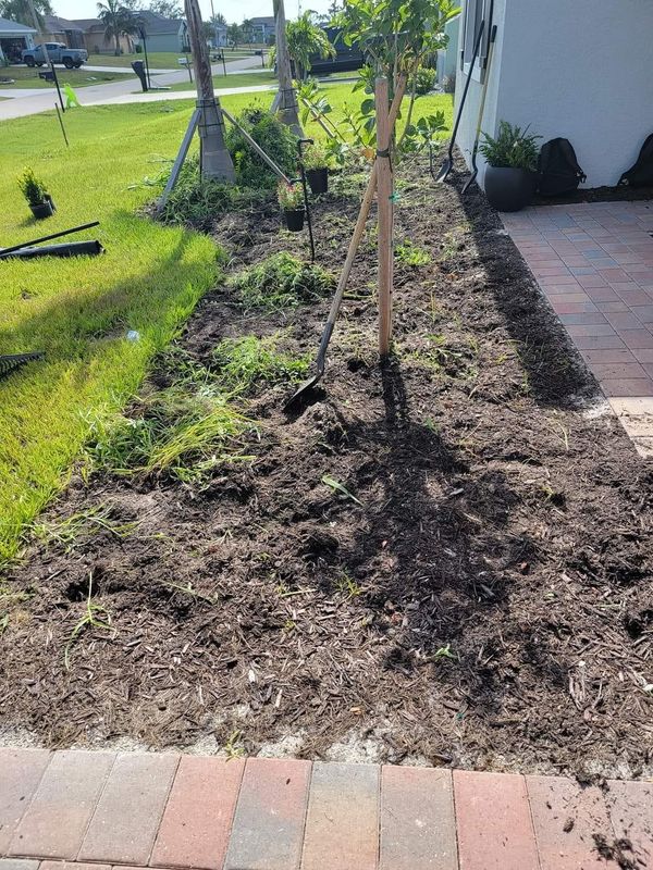 Landscape Design and Installation